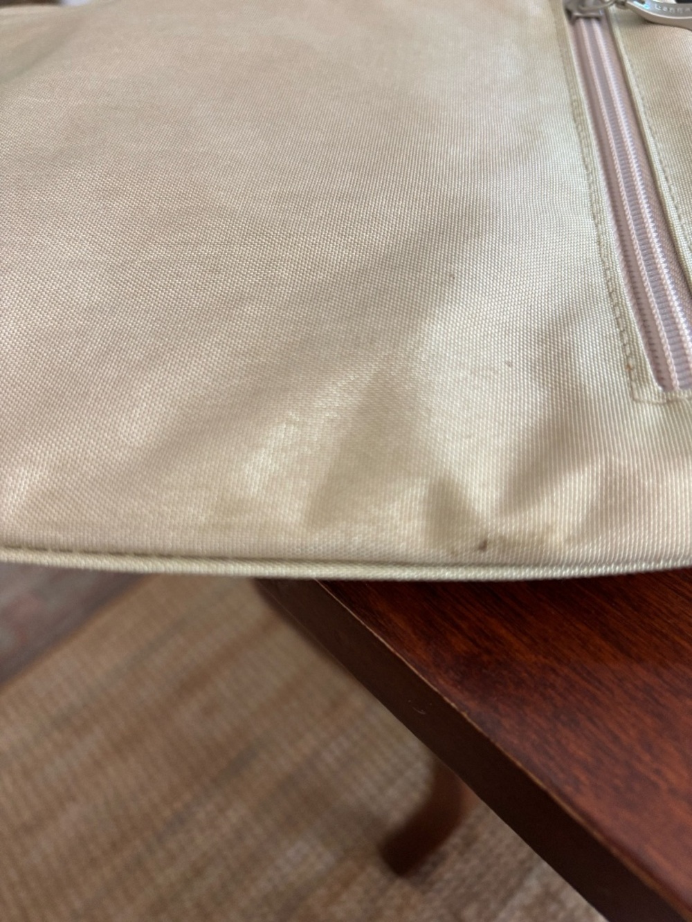 Vintage Baggallini Classic Zipper Bagg Crossbody Travel Purse in Champagne - Picture 10 of 10